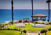 thumbs sf universal launcher wedding photos