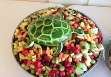 thumbs turtlefruitbasketphoto 159e04eb90ecf56dcd3f7e8f19b149f4e78a3c27 wedding photos
